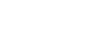 wizzi